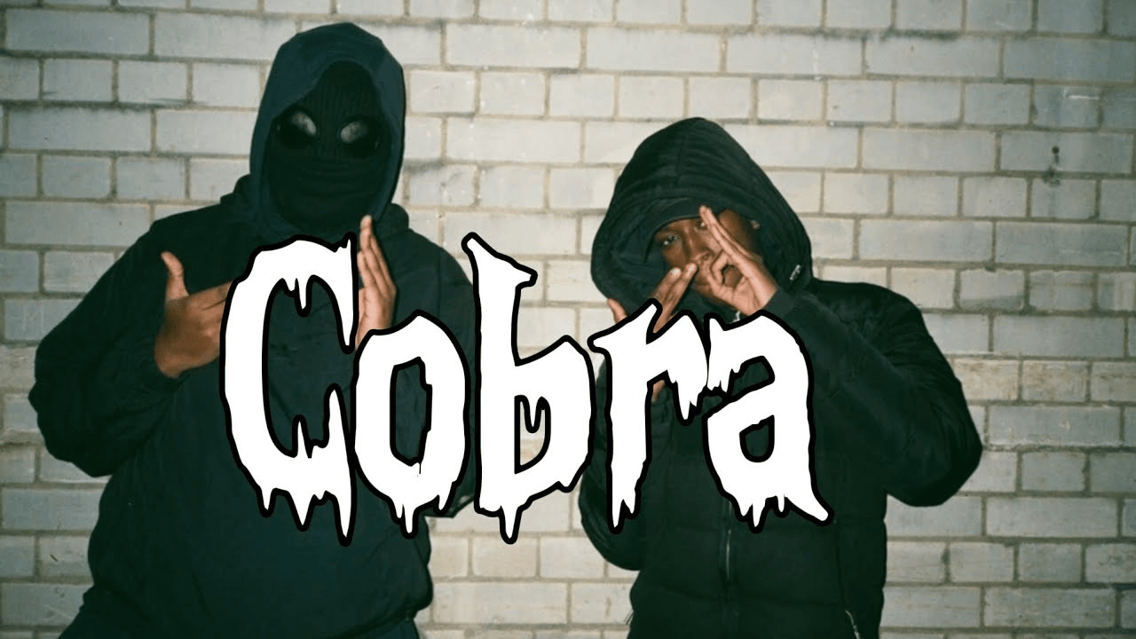 Cobra cover