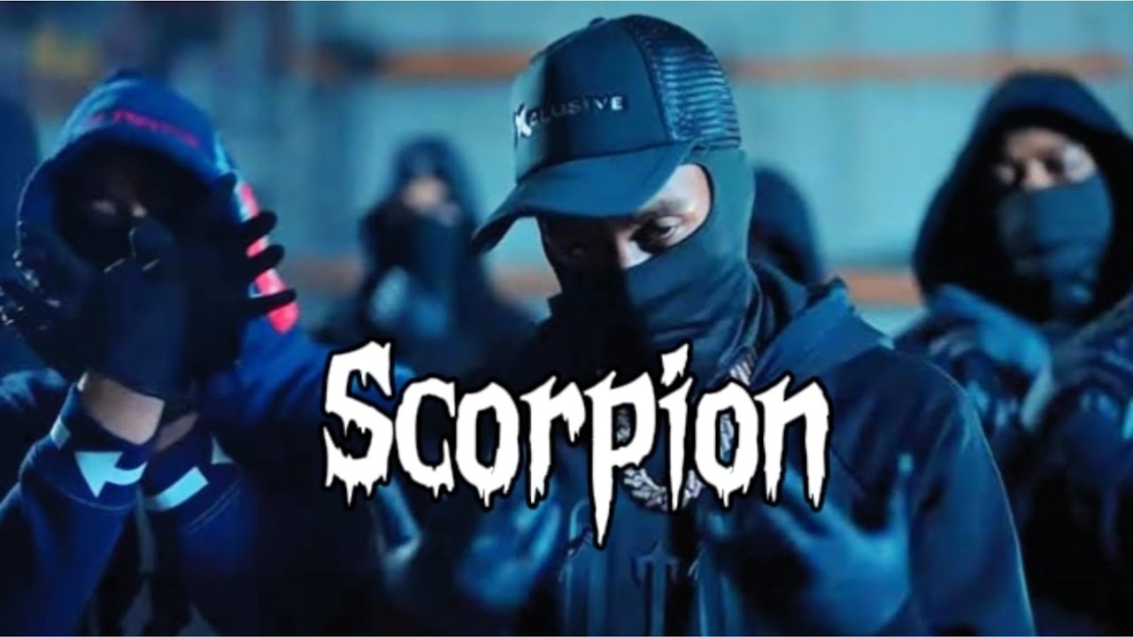 Scorpion cover